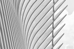 A black and white architectural detail photo of the exterior of the Oculus at World Trade Center Station, New York City by architect Santiago Calatrava. Large-scale framed prints of this photo are available up to 72 inches in width