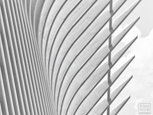 A black and white architectural detail photo of the exterior of the Oculus at World Trade Center Station, New York City by architect Santiago Calatrava. Large-scale framed prints of this photo are available up to 72 inches in width