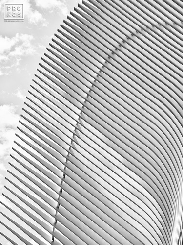A black and white architectural detail photo of the exterior of the Oculus at World Trade Center Station, New York City by architect Santiago Calatrava. Large-scale framed prints of this photo are available up to 72 inches in width