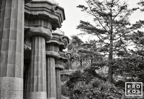 A black and white fine art photo of the massive columns in Gaudi's Parc Guell, Barcelona, Spain