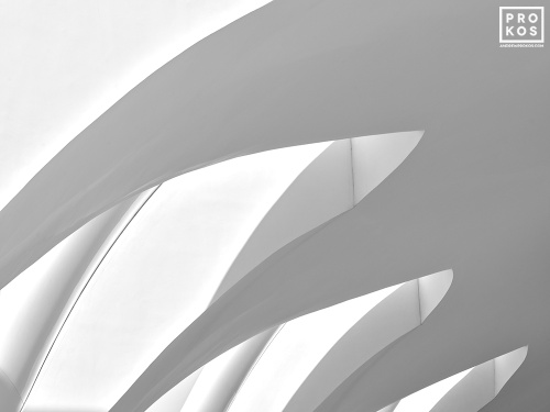 Black and white photography of a close-up view of contemporary architectural arches by architect Santiago Calatrava in shades of white. Large-scale fine art prints of this photo are available up to 60 inches and framed in wood, metal and acrylic styles. 