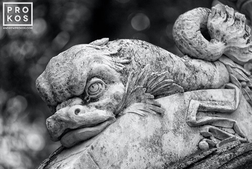 A black and white architectural detail photo of a fish in the Quinta da Regaleira gardens in black and white, Sintra, Portugal