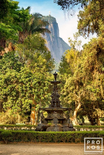 A landscape with fountain in Rio de Janeiro's Jardim Botanico. Uma paisagem com fonte no Jardim Botânico do Rio de Janeiro.
