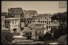 A view of the Colosseum and the Arch of Titus in the ancien Roman Forum. From the monochrome photo series "Forum Romanum"