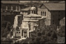 A view of the Senate in the ancient Roman Forum from the monochrome photo series "Forum Romanum".