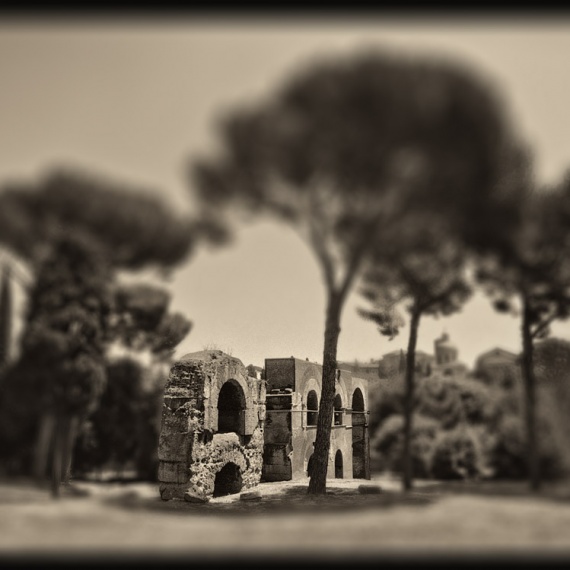 A ruin on the Palatine Hill in the ancient Roman Forum. From the monochrome photo series "Forum Romanum"