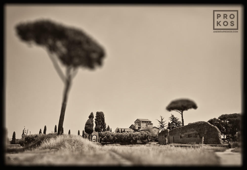 Forum Romanum – Palatine Hill Landscape