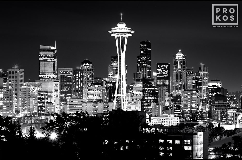 city skylines at night black and white