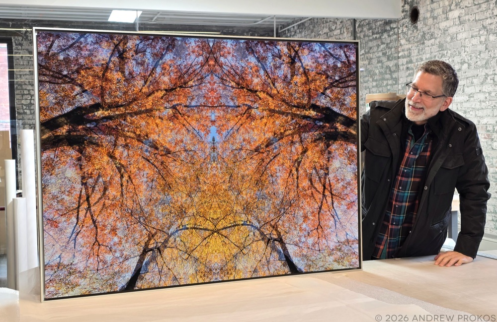 Photographer Andrew Prokos with a 37x50 inch limited edition photo of Elm's Embrace from his series Sylvan Landscapes. The photo is framed in brushed aluminum and uses museum anti-reflective acrylic.