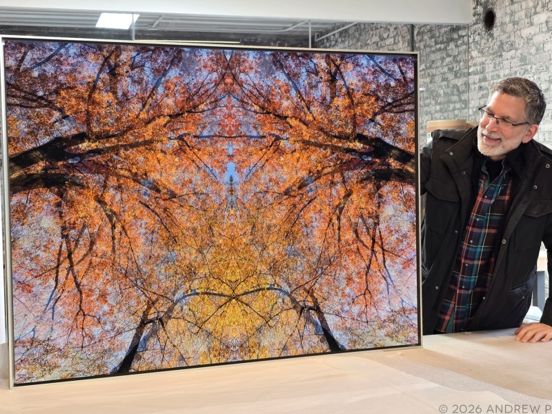 Photographer Andrew Prokos with a 37x50 inch limited edition photo of Elm's Embrace from his series Sylvan Landscapes. The photo is framed in brushed aluminum and uses museum anti-reflective acrylic.