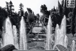 A black and white landscape photo of the gardens of the Villa D'Este, Tivoli, Italy