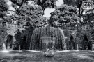 A black and white landscape photo of the Oval Fountain in the gardens of the Villa D'Este, Tivoli, Italy. Fine art prints of this photo are available framed in various styles. 