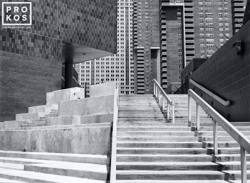 TRIBECA CONVERGENCE PX