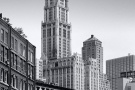 A Tribeca cityscape with the Woolworth Building in black and white, New York City