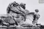 A black and white fine art architectural photo of the Columbus Fountain at Washington DC's Union Station by photographer Andrew Prokos