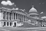 A high-definition black and white photo of the US Capitol East Front, Washington DC