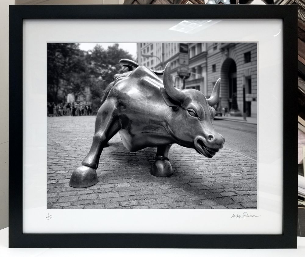 A forty inch matted and framed black and white print of Wall Street Bull by photographer Andrew Prokos