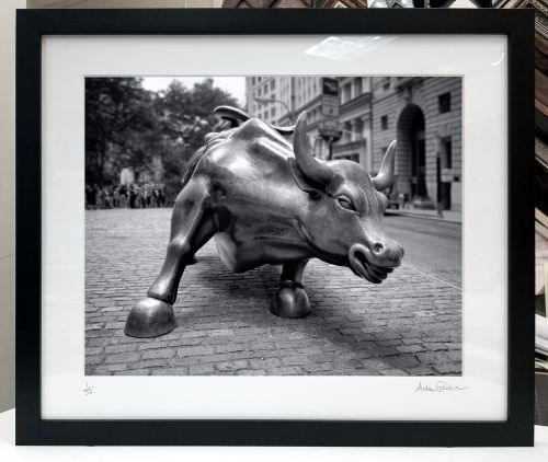 A forty inch matted and framed black and white print of Wall Street Bull by photographer Andrew Prokos