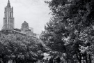 A black and white fine art photo of Washington Market Park in Tribeca, New York City
