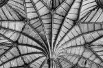 A black and white fine art photo of the soaring gothic vault of the Chapter House at Westminster Abbey, London, England. Limited edition prints of this photograph are available up to 60 inches in height and framed in various wood, metal, and acrylic styles.