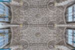 Sanctuary of Light VI: The Lady Chapel - Fine Art Photograph by Andrew ProkosA fine art photograph of the ornate gothic interior of the Lady Chapel in Westminster Abbey, London, England. Limited edition prints of this architectural photograph are available up to 60 inches in width.