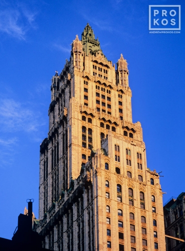 A color architectural photo of the Woolworth Building at sunset, New York City