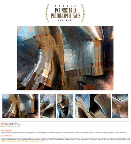 Photographer Andrew Prokos wins silver at the Prix de la Photographie, Paris for his series "Gehry's Children"